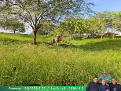 Fazenda/Sítio à venda, 2810000m² no Santo Antônio, Limoeiro