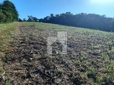 Lote/Terreno à venda, 48000m² no Roseira, Jundiaí