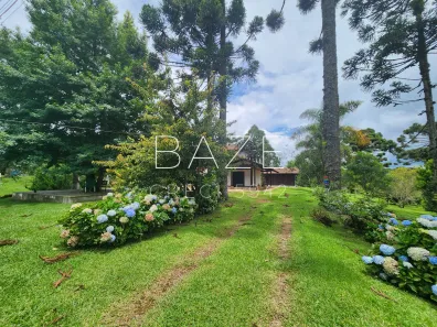 Fazenda/Sítio com 6 Quartos à venda, 180m² no Laranjeiras, Campo Alegre