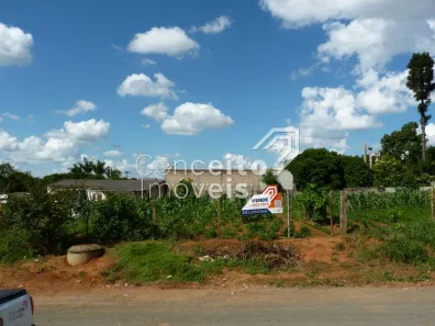 Lote/Terreno à venda, 490m² no Piriquitos, Ponta Grossa