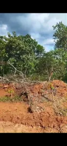 Fazenda/Sítio com 3 Quartos à venda, 1000m² no , Aragoiânia