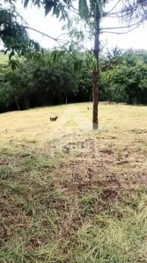 Lote/Terreno à venda, 2200m² no Cardeal, Elias Fausto