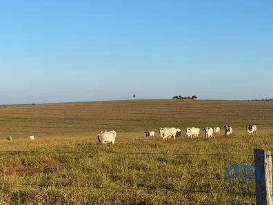 Fazenda/Sítio com 1 Quarto à venda, 13567004m² no Teodoro Sampaio, Teodoro Sampaio