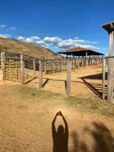 Fazenda/Sítio à venda, 90m² no , Francisco Sá
