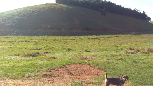 Fazenda/Sítio com 2 Quartos à venda, 1000000m² no Centro, Mimoso do Sul