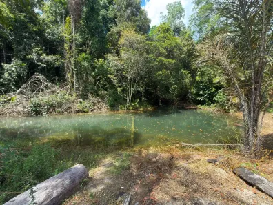 Fazenda/Sítio com 3 Quartos à venda, 180m² no , Rio Preto da Eva