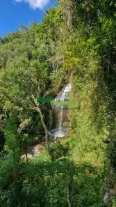 Apartamento com 13 Quartos à venda, 3267m² no , Delfim Moreira