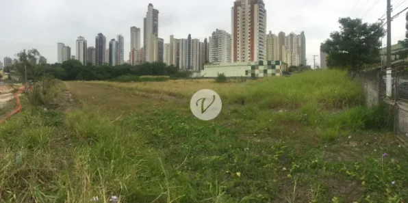 Lote/Terreno para alugar, 19069m² no Jardim Anália Franco, São Paulo