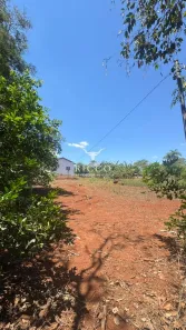Fazenda/Sítio com 3 Quartos à venda, 4000m² no Centro, Bonfinópolis