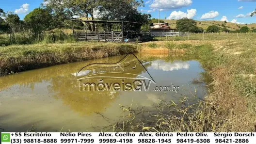 Fazenda/Sítio com 1 Quarto à venda, 100m² no Ilha dos Araújos, Governador Valadares