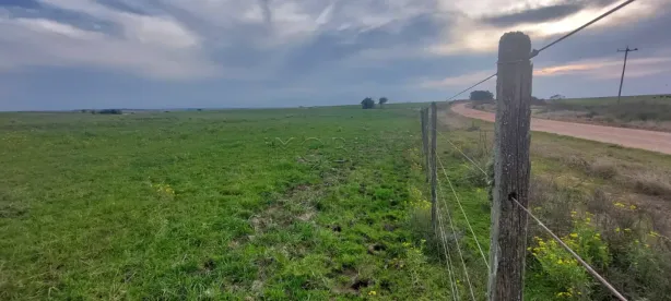 Fazenda/Sítio à venda, 146300200m² no Piraí, Bagé