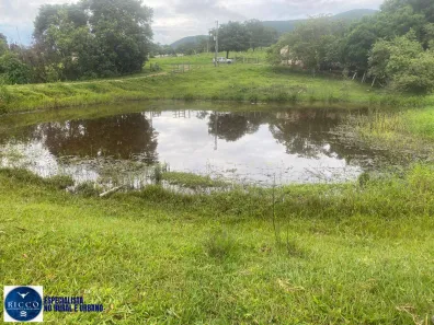 Fazenda/Sítio com 2 Quartos à venda, 1m² no Setor Central, Taquaral de Goiás