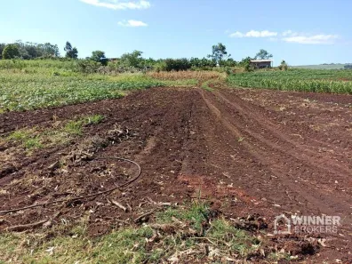 Fazenda/Sítio com 1 Quarto à venda, 13600m² no Jardim Alvorada, Maringá