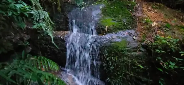 Fazenda/Sítio à venda, 5000m² no Centro, Bom Repouso