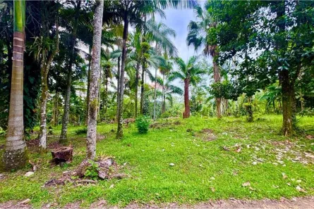 Lote/Terreno à venda, 699m² no Parque Balneario Oasis, Peruíbe