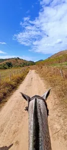 Fazenda/Sítio com 2 Quartos à venda, 100m² no Centro, Silveiras