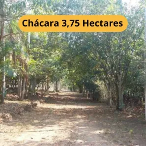 Fazenda/Sítio com 1 Quarto à venda, 37500m² no , Candeias do Jamari