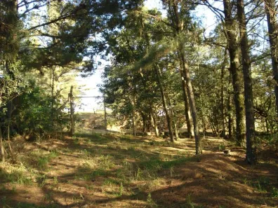 Lote/Terreno à venda, 3750m² no Vila Nova, Porto Alegre