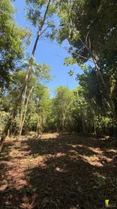 Lote/Terreno à venda, 175m² no Itamambuca, Ubatuba