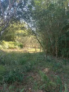 Fazenda/Sítio à venda, 20000m² no , Governador Celso Ramos