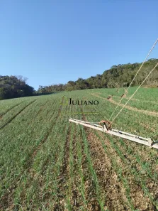 Lote/Terreno à venda, 15000m² no , Angelina