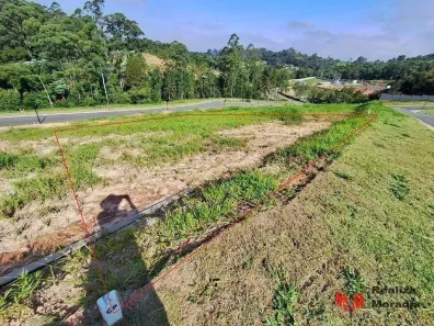 Lote/Terreno à venda, 503m² no Pitas, Cotia