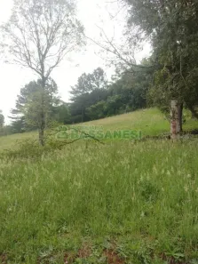 Lote/Terreno à venda, 1939m² no Linha 40, Caxias do Sul