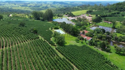 Fazenda/Sítio com 30 Quartos à venda, 240m² no Estância Suíça, Serra Negra