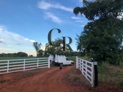 Fazenda/Sítio à venda, 24m² no , Bela Vista de Goiás