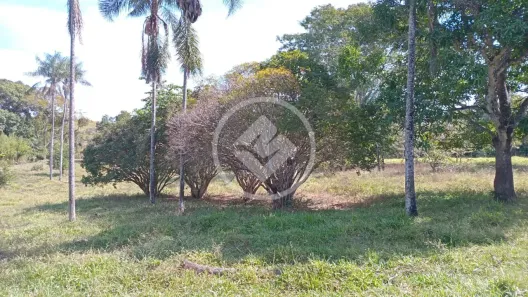 Fazenda/Sítio à venda, 9m² no , Aragoiânia