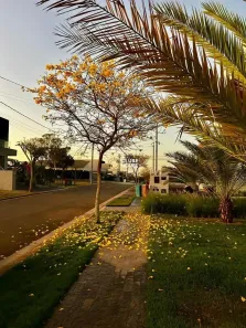 Lote/Terreno à venda, 360m² no Condomínio Terras Alpha Anápolis, Anápolis