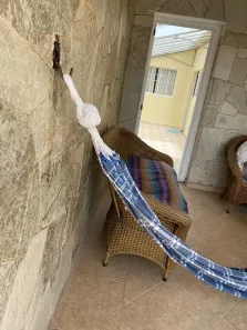 Casa com 4 Quartos à venda, 166m² no Centro, Votorantim