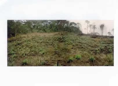 Lote/Terreno à venda, 6000m² no Recanto dos Palmares, Atibaia
