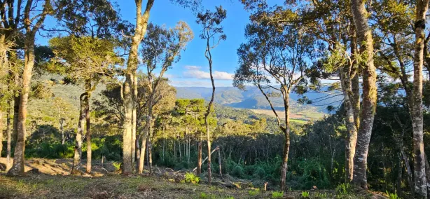 Lote/Terreno à venda, 65000m² no , Urubici