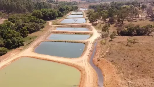 Fazenda/Sítio com 5 Quartos à venda, 20m² no , Aragoiânia