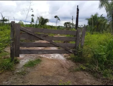 Fazenda/Sítio à venda, 544500m² no , Pacajá