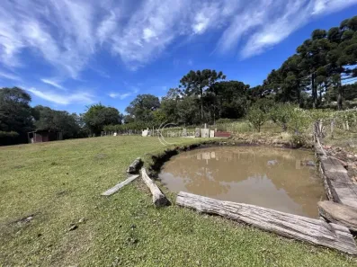 Fazenda/Sítio com 3 Quartos à venda, 15000m² no Linha 40, Caxias do Sul