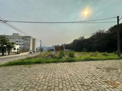 Lote/Terreno à venda, 533m² no Nossa Senhora das Graças, Caxias do Sul