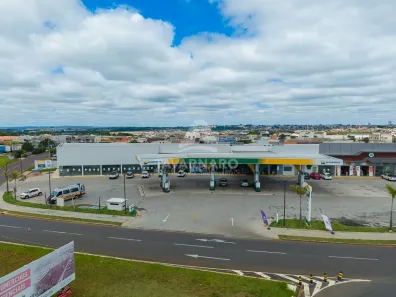 Sala Comercial para alugar, 34m² no Cará-cará, Ponta Grossa