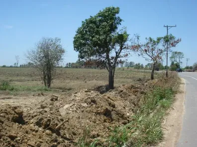 Lote/Terreno à venda, 31000m² no Ururaí, Campos dos Goytacazes