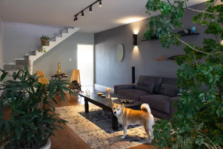 Casa com 3 Quartos à venda, 215m² no Carandiru, São Paulo