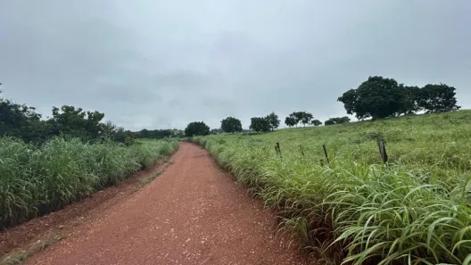 Fazenda/Sítio com 3 Quartos à venda, 1013m² no , Nossa Senhora do Livramento