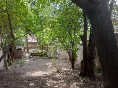 Lote/Terreno para alugar, 500m² no Jardim Itamarati, Campinas