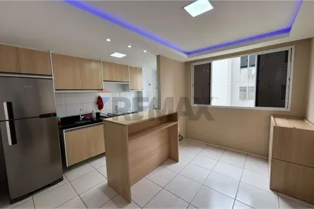 Apartamento com 2 Quartos para alugar, 40m² no Alberto Maia, Camaragibe