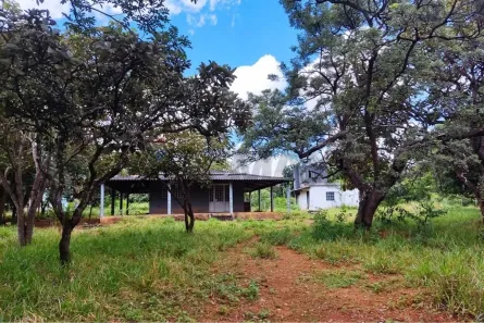 Fazenda/Sítio com 3 Quartos à venda, 215m² no Jardim Zuleika, Luziânia