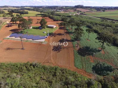 Fazenda/Sítio com 1 Quarto à venda, 120m² no Área Rural de Araucária, Araucária