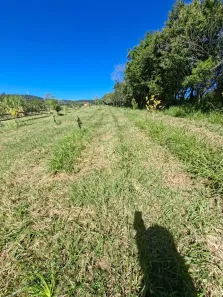 Lote/Terreno à venda, 5000m² no Morungava VI (Morungava), Gravataí
