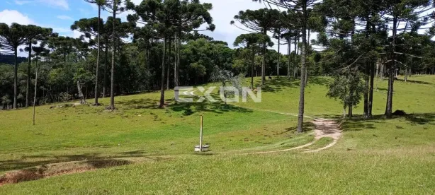 Fazenda/Sítio com 2 Quartos à venda, 200m² no , Mandirituba