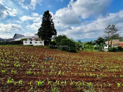 Lote/Terreno à venda, 326m² no Concórdia, Ivoti