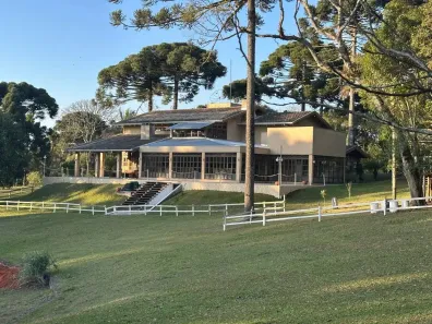 Fazenda/Sítio com 4 Quartos à venda, 60000m² no Serrinha, Contenda